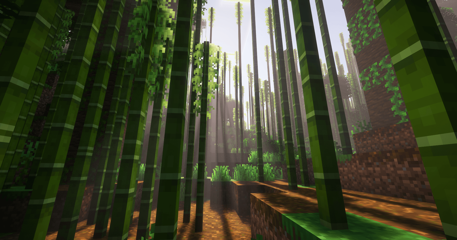 Some stunning photos of Minecraft with shaders.